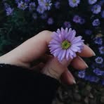 Maria Fitzpatrick - Facebook