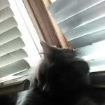 mariah - @mariahford1234 - Instagram