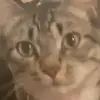 Mariah galvan! - @user8009268622475 - TikTok
