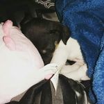 PJ_Life - @gamblemariah001 - Instagram