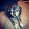Mariah  Gates - @24gates_mariah - TikTok