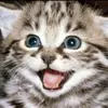 Mariah Gerling - @mariah.gerling - TikTok