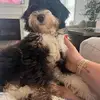 Mariah Gilbert - @mariah.gilbert3 - TikTok