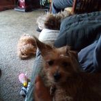 Maria Hahn - Facebook