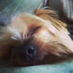mariah hampton - @top_dog479 - Instagram