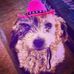 Maria Harrington - Facebook
