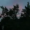 mariah_l0vesdreadheads - @mariah_l0vesdreadheads - TikTok