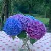 Maria Heath - @maria.heath - TikTok
