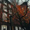 mariah Hebert - @mariah.hebert2 - TikTok