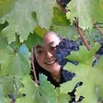 Maria H. Hermansen - @mariahhermansen - Instagram