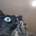 Maria Hicks - Facebook