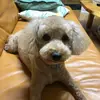 MariahHolder - @mariahholderxhuelnm - TikTok