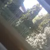 mariah - @mariahjett22 - TikTok