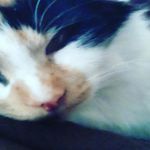 mariah johnston - @awkwerd_chiken426 - Instagram