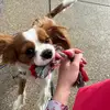 Mariah_Kramer - @mariah_kramer - TikTok