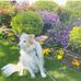 Maria Hana Lucas - Facebook