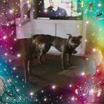 Maria Lunsford - @green4granny - Instagram