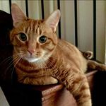 Maria Mansfield Richardson - @mariamansfieldrichardson - Instagram