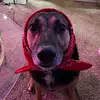 Mariah.marr - @mariah.marr - TikTok