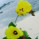 Maxwell Mariah - @maxwellmariah35 - Instagram