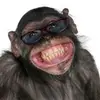 IM_THAT_MONKEY - @annmariahmaynard0 - TikTok