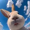 Maria McNally898 - @pretty_mimi54 - TikTok
