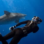 Mariah Meyer 🦈 - @mermaidmariahh - Instagram