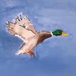Maria O’Neill art - @maria_oneill_art - Instagram