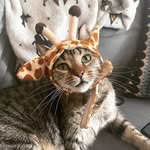 Maria Pollard - @mari.apollard23 - Instagram