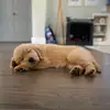 Mariah‼️ - @mariah.poole1 - TikTok