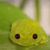 Mariah Powell - @mariah.powell14 - TikTok