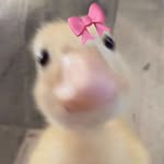 Mariah Rios - @mariahrios975 - Instagram