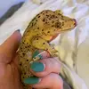 Mariah Rivers - @mjr.exotics - TikTok