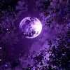 Mariah Ruiz - @mariah.ruiz4 - TikTok