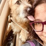 Mariah Ryan - @my_magical_menagerie - Instagram