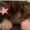 Mariah Sanchez - @mariah.sanchez8 - TikTok