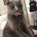 Mariah Snyder - Facebook