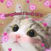 Kittybabe20 - @mariahsolis736 - TikTok