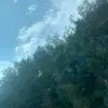 mariahstephens - @mariahstephens1 - TikTok