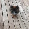 mariah wilcox - @ryan_wilcox8 - TikTok