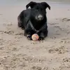 Maria Wilder - @maria.wilder32 - TikTok