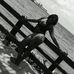 Maria Wilkinson - Facebook