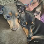Mariah Winters - @momoe23_ - Instagram