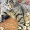 Maria Woods - @maria.woods7 - TikTok