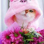 Mariam Abed - Facebook