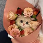 Mariam Abed - Facebook