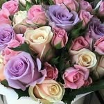Mariam Abed - @abed.mariam - Instagram