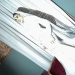 Mariam Abed - @_mariamabed_ - Instagram