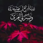 Mariam Abed - @mariam.abed.3150 - Instagram
