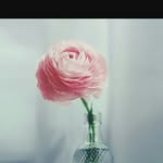 mariam achir - @innas_ayad - Instagram